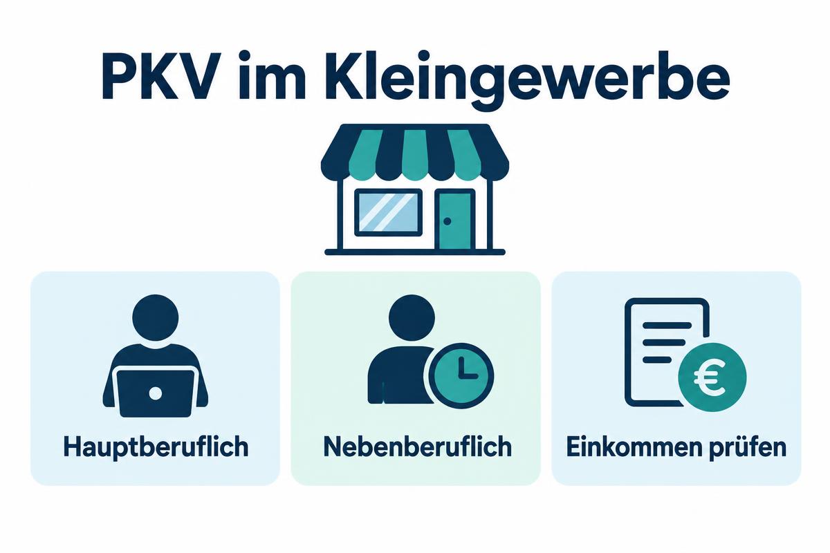 Infografik PKV im Kleingewerbe: hauptberuflich, nebenberuflich, Einkommen prüfen